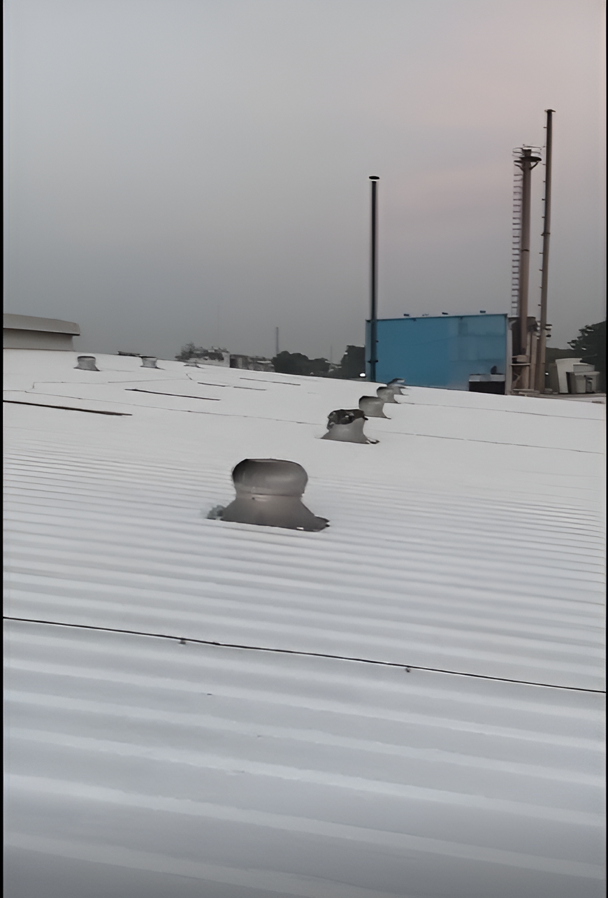 Shed Coating