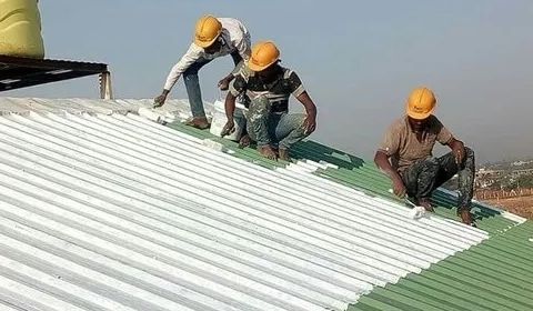 Shed Coating